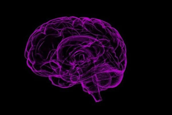 Novartis Gains a Way to Get Drugs Into the Brain, Buying Sironax Tech for $125M